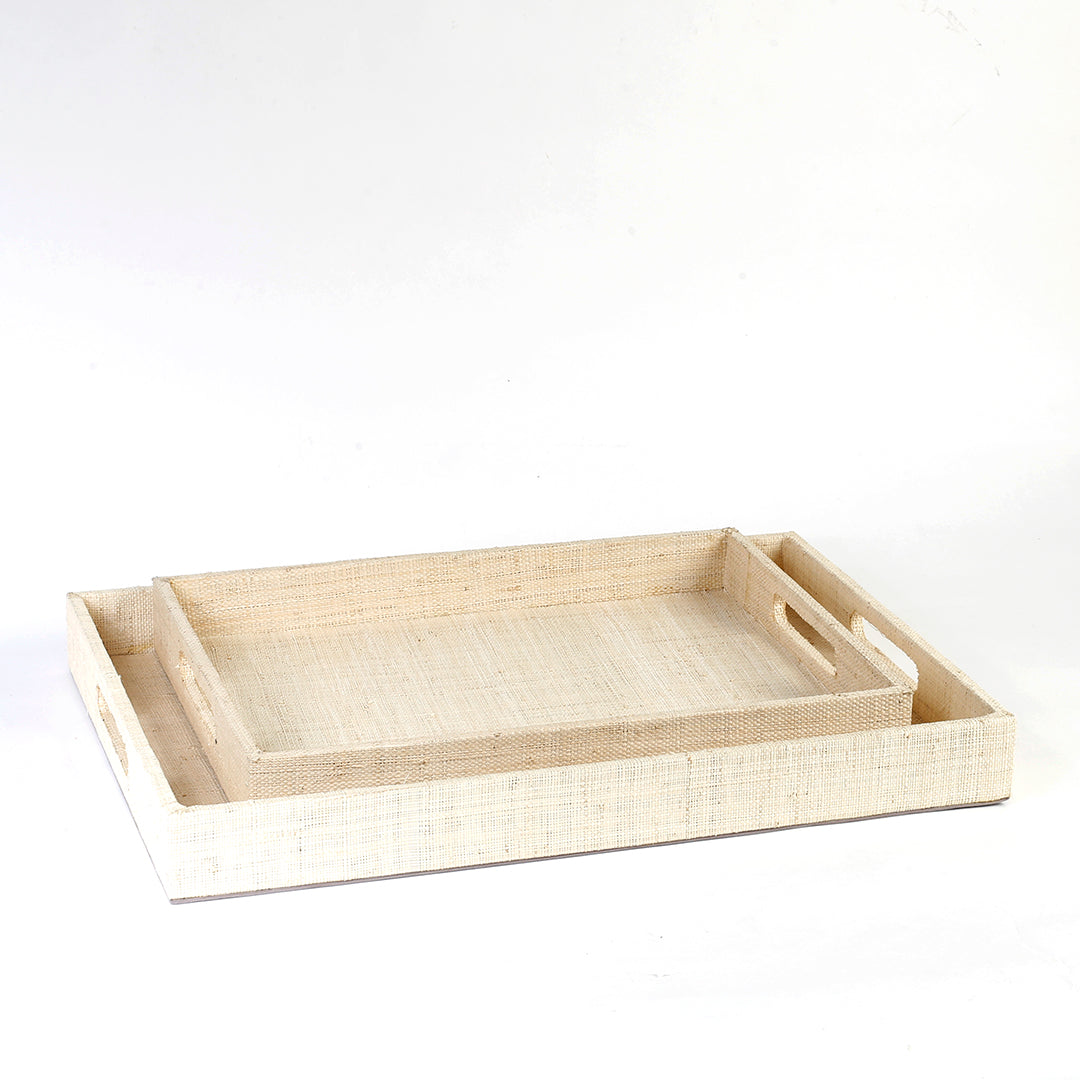Adie Positively Simple Decorative Trays Set of 2 made from natural plant fibers, displayed on a table with decorative items, showcasing eco-friendly design and multi-purpose functionality for serving and organizing.